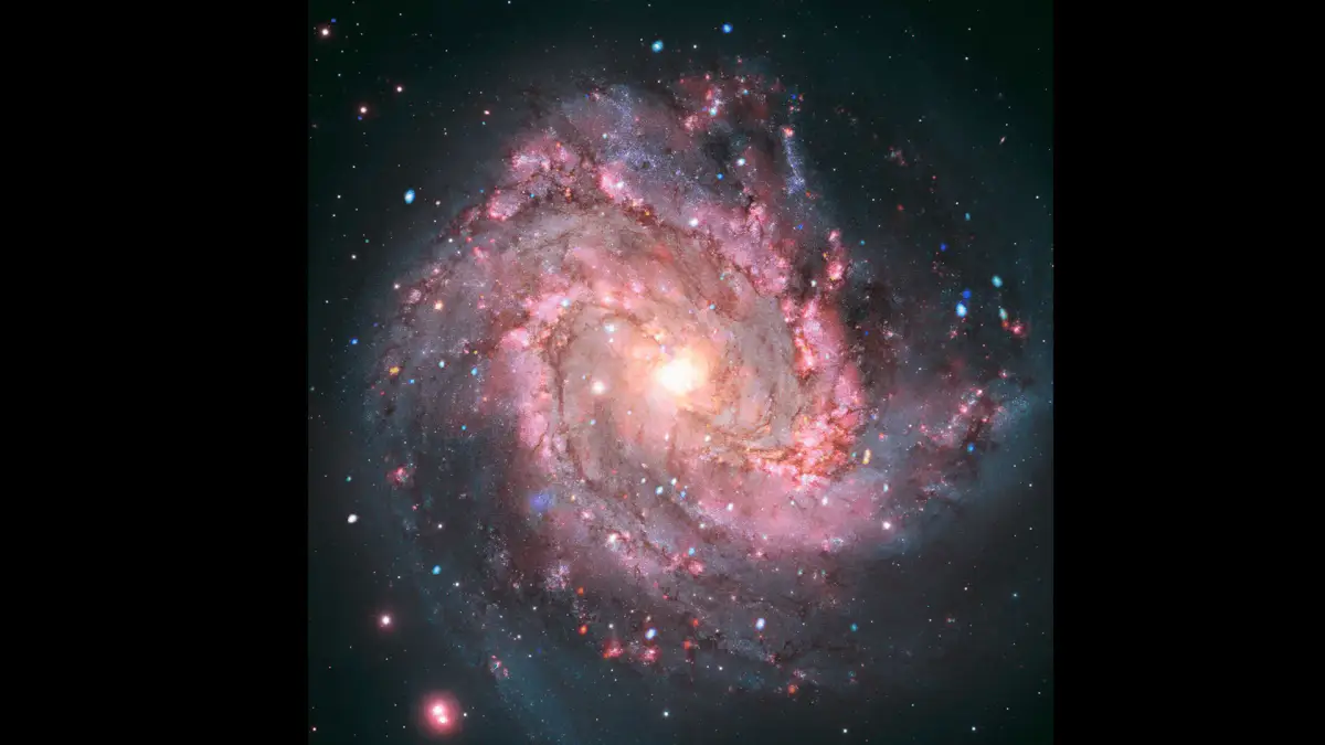 Supernova-Feuerwerk in Messier 83 – X‑Ray‑Variabilität von Supernova‑Resten 15 Millionen Lichtjahre entfernt